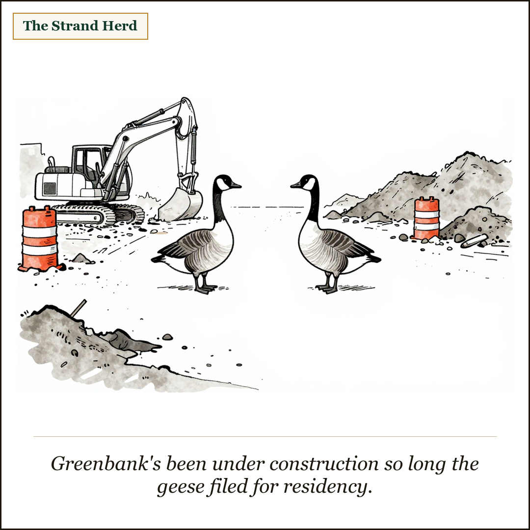Two Canada geese stand in the middle of a torn-up Greenbank road construction site — a parked excavator and orange traffic barrels and piles of dirt around them. Caption: Greenbank's been under construction so long the geese filed for residency.