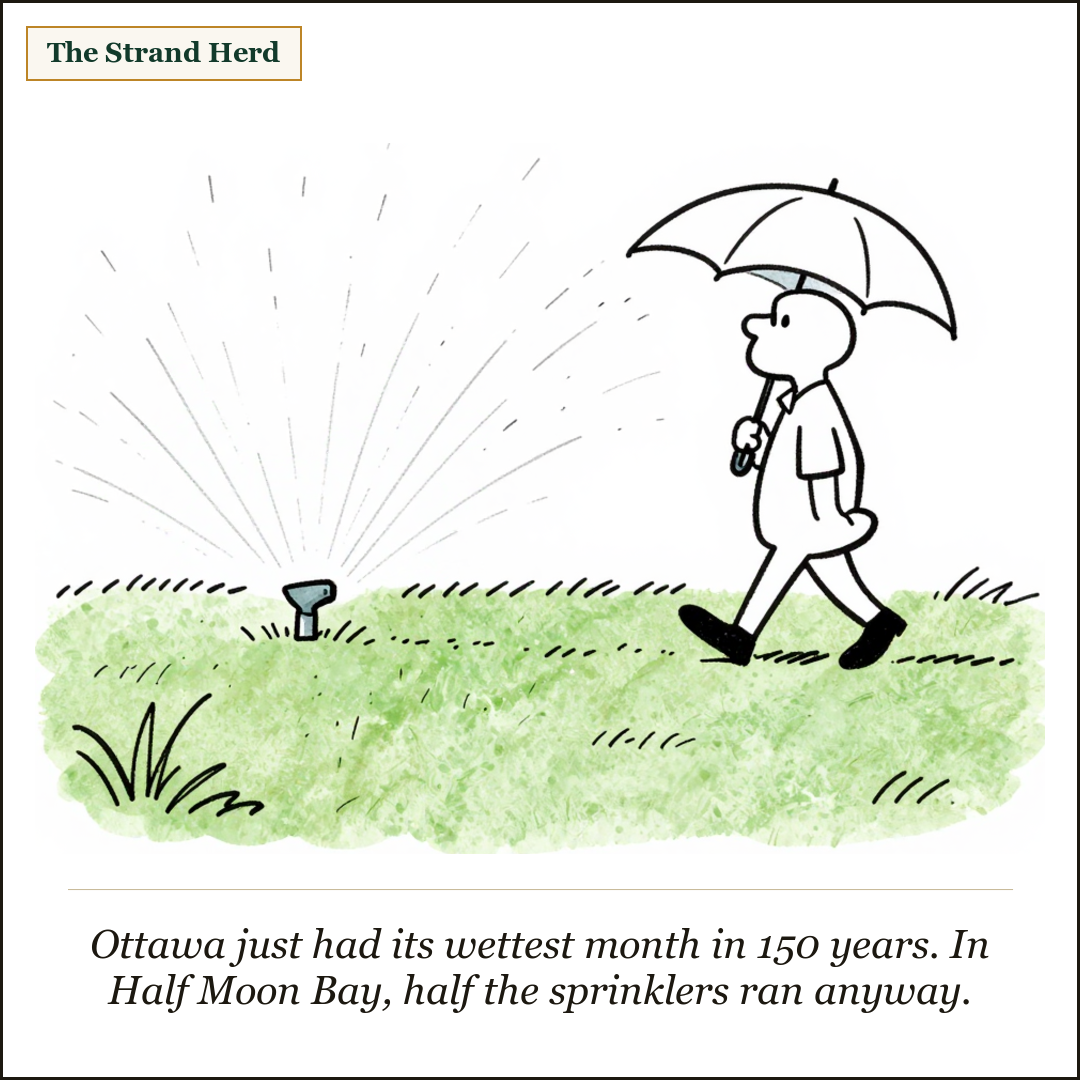 A lawn sprinkler spraying an already soaked front lawn while a person walks past under an umbrella.