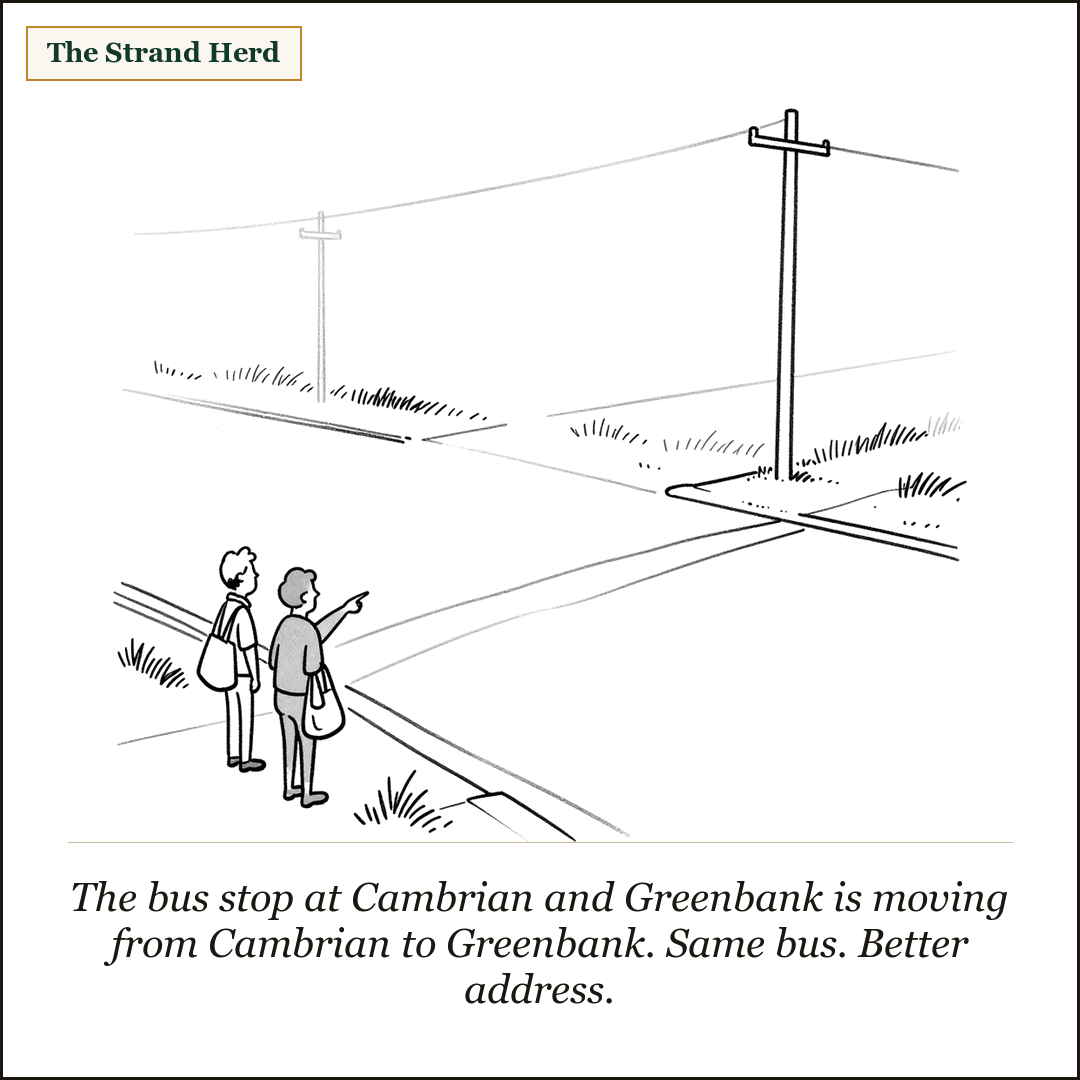 A loose ink cartoon of two people with shopping bags waiting at a bare curb on a wide, empty suburban intersection, one pointing across the road at an equally empty grassy corner.