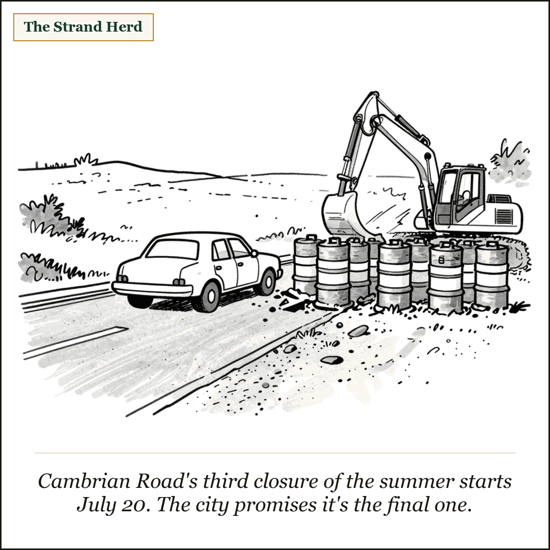 A loose ink cartoon of a small car stopped at the mouth of a closed suburban road blocked by a row of striped traffic barrels, a parked excavator digging beside torn-up pavement, flat open farm fields and sky beyond.