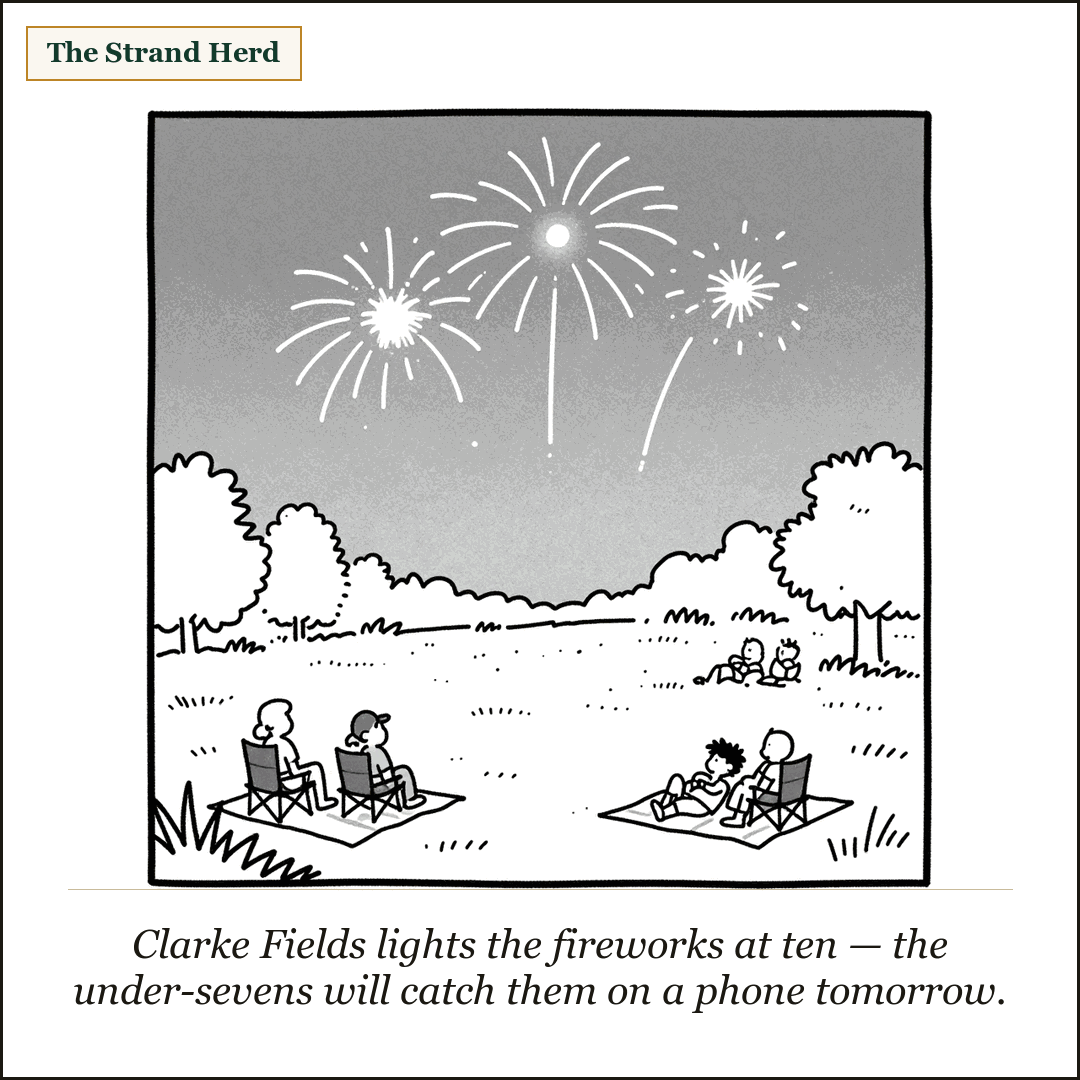 Loose line cartoon: a few bright fireworks bursts in the night sky over a grassy suburban park field, two or three families on folding lawn chairs and blankets, one small child sprawled asleep on a blanket.
