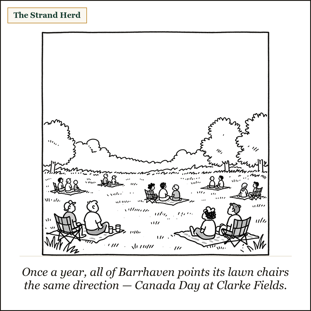 Loose line cartoon: a wide grassy park field at dusk dotted with families on picnic blankets and folding lawn chairs, all facing the same way and looking up at the evening sky.
