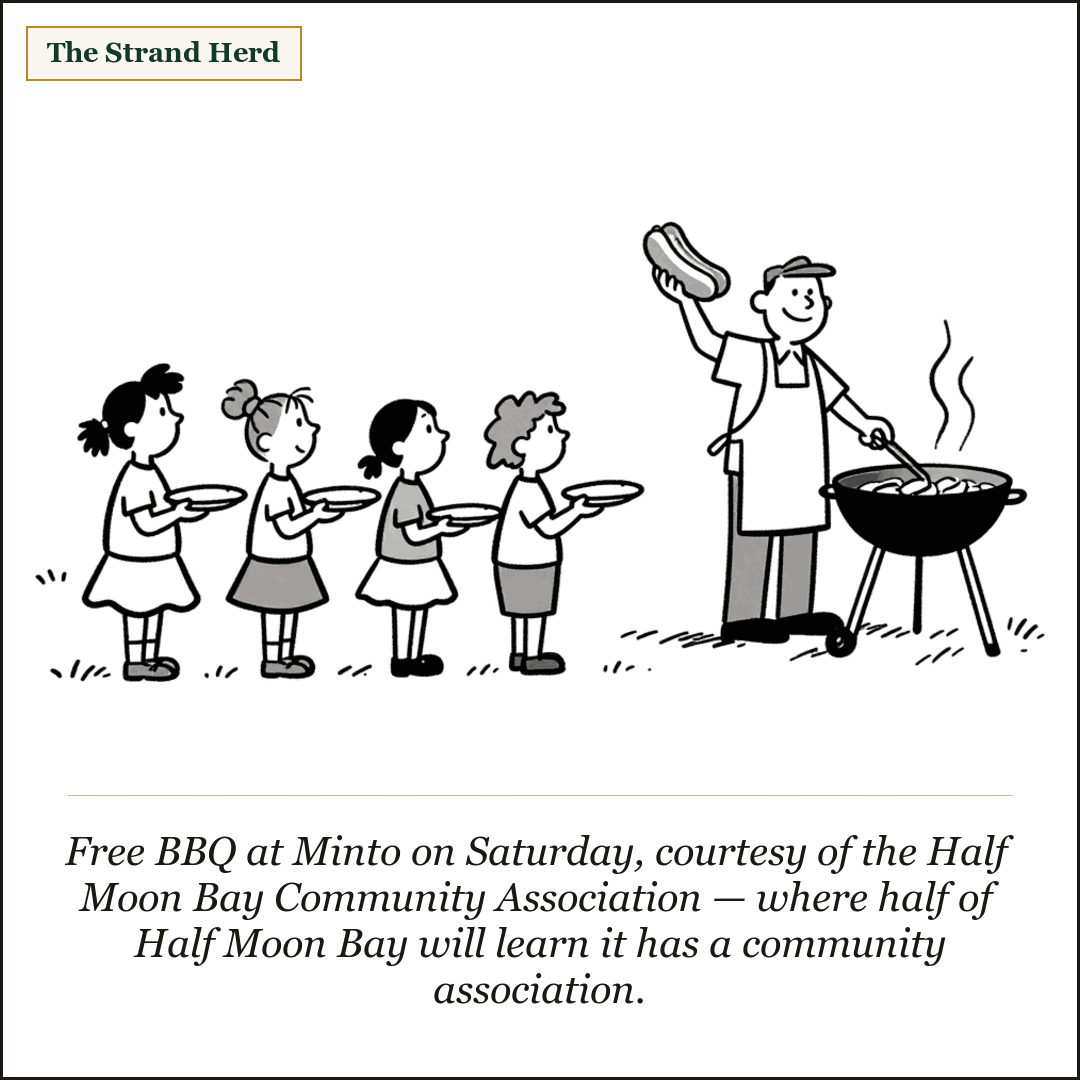 Cartoon: a volunteer in an apron holds up a hot dog at a smoking barbecue while a line of children waits with empty paper plates.