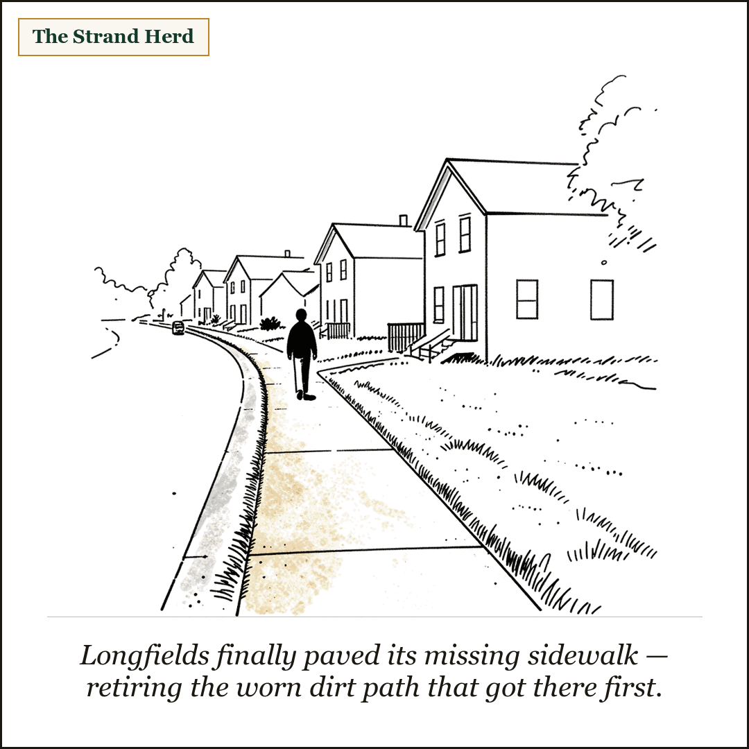 A loose ink cartoon of a quiet suburban residential street with a new sidewalk running along it, a faint worn dirt footpath showing through the grass strip beside it, one person walking on the fresh sidewalk, tidy two-storey houses behind.
